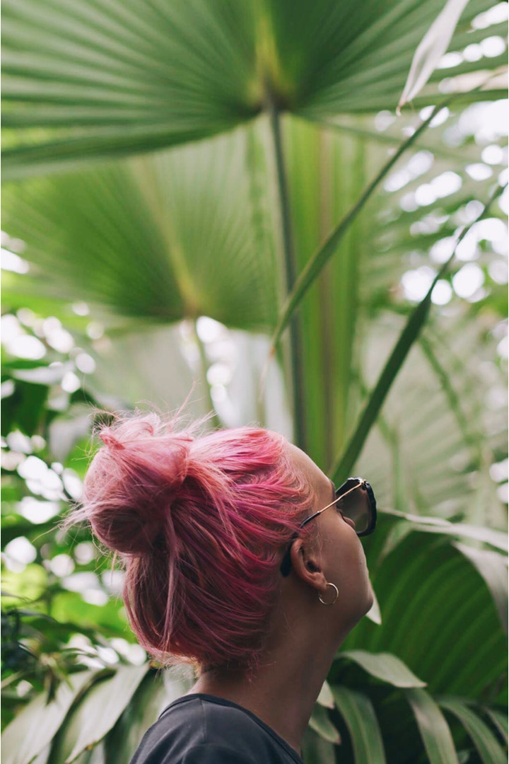 Pink Hair Plants Bun