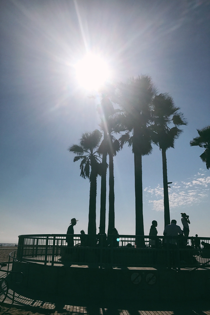 Venice Beach View