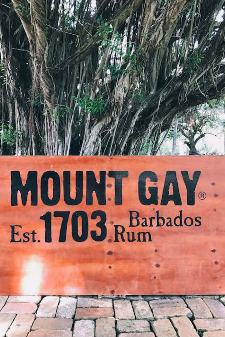 Barbados Mount Gay rum
